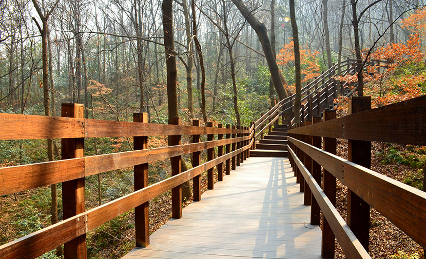 Hyun-san Green Road in Yangyang