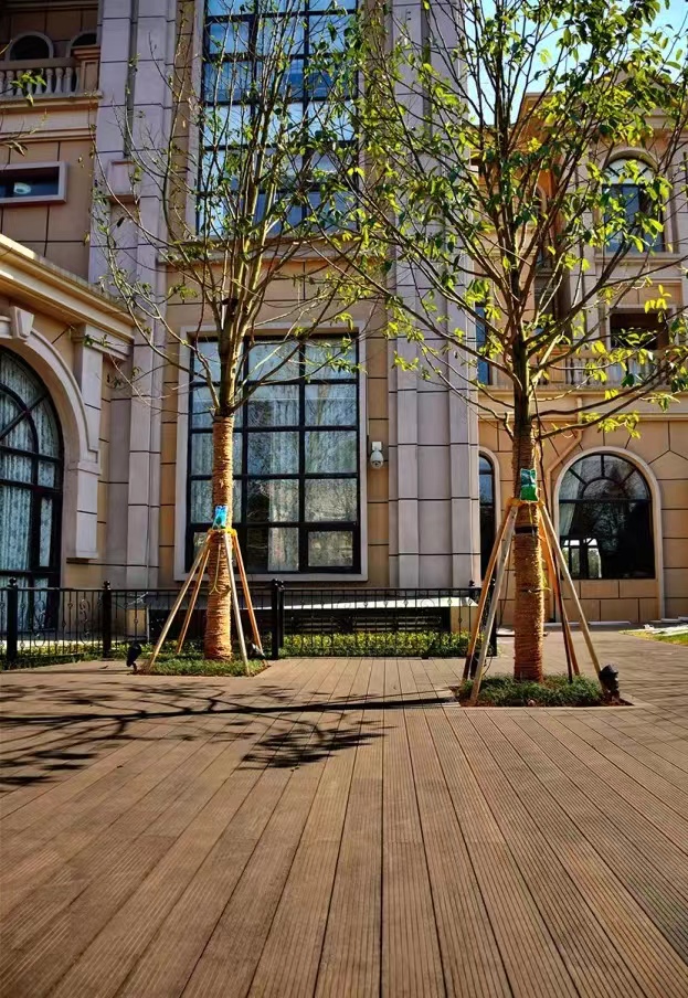 Bamboo Decking At The Nordic Town